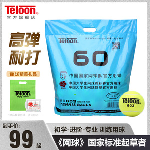 天龙网球训练球袋装801复活rising603发球机用球成人多球练习球