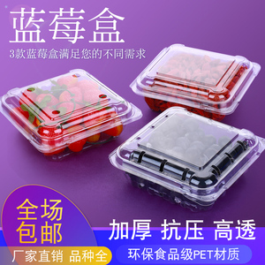 一次性透明蓝莓包装盒125g加厚透气树莓桑葚蓝莓打包盒塑料水果盒