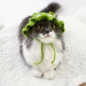 宠物猫咪帽子手工针织可爱头套头饰狗狗生日毛线装扮小猫搞怪布偶