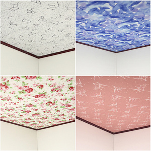 农村瓦房吊顶专用布防尘防水布屋顶装饰遮丑布遮梁布天花板遮挡布