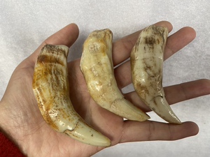 文玩收藏高仿老虎牙吊坠兽牙礼品挂坠手把件仿骆驼挂件钥匙扣挂饰