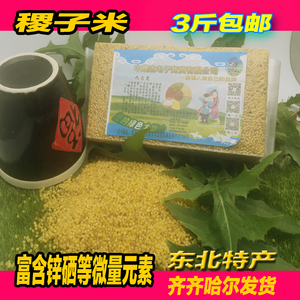 东北特产稷子米二米饭糙米达斡尔族大米养生大米3斤真空包装杂粮