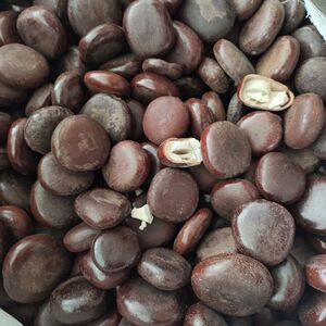 野生木腰子 中药材过江龙子 新货阴阳子泡酒料货源充足500克包邮