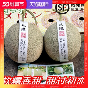 日本品种玫珑蜜瓜