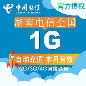 湖南电信全国流量充值包 电信1G冲手机叠加包 2g3g4g通用加油包CZ