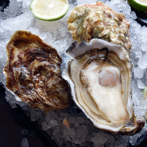 法国名蚝吉利生蚝鲜活原装进口n0 12只每只150g左右