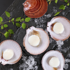 蚝门盛宴澳洲进口扇贝即食超大半壳冷冻新鲜贝类带壳6只/200g海鲜