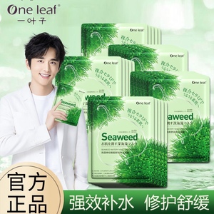 一叶子面膜女海藻深层补水控油去黑头收缩毛孔面膜贴学生党适用