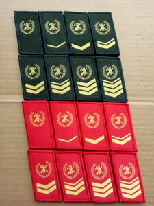专职消防领章