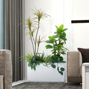室内仿真绿植千年木花槽造景商场餐厅隔断屏风橱窗假植物装饰景观