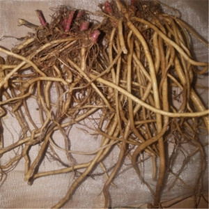 现挖生新鲜土牛膝根纯天然牛膝倒扣草接骨草扭伤500克包邮