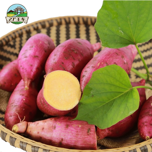 2021新红皮黄心薯 地瓜新鲜农家产地直销红薯现挖番薯5斤