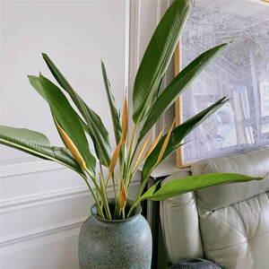 国产黄金鸟小黄鸟鲜花上海直发时令花家用水养插花顺丰年宵花礼物