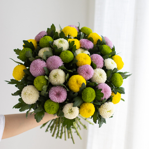 乒乓菊鲜花上海插花云南雏菊婚庆礼装饰水养直批鲜切花母亲节礼物