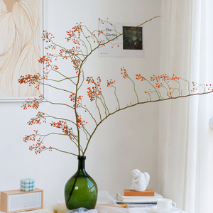 山归来蔷薇果鲜切枝水培植物小众鲜花室内办公室水养瓶插花装饰