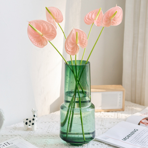 干杯粉掌鲜花国产上海直发家用水养插花顺丰真花鲜切花节日礼物