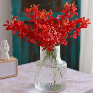 千代兰红色鲜花洋兰万代兰顺丰上海插花婚庆装饰水养鲜切花情人节