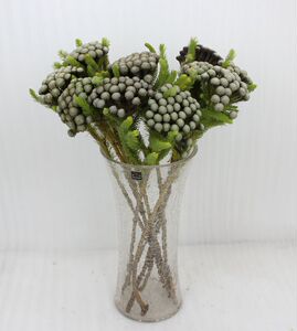 南非珊瑚果鲜花布鲁纳婚礼客厅花水养鲜切花可做干花疫情后发货