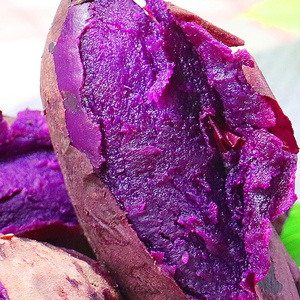 紫薯新鲜现挖5斤宝宝孕妇蔬菜农家自种沙地紫心红薯番薯小大种子
