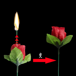 火把玫瑰近景魔术 情人节礼物玫瑰 空手出花小道具火焰变玫瑰节目
