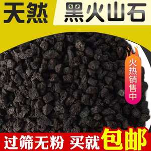 黑色火山岩颗粒多肉植物铺面石火山岩园林花卉水族过滤造景 5斤装