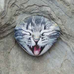 石头画猫