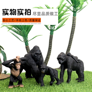 仿真动物金刚猩猩模型玩具猴子猿人塑胶实心静态儿童教育认知礼物