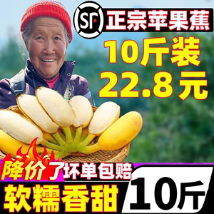 广西苹果香蕉9斤新鲜水果当季现摘大芭蕉小米蕉甜香蕉整箱自然熟