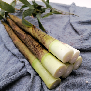 小竹笋新鲜5斤湖南野生小笋时令蔬菜现拔现发手剥水笋带壳斑竹笋