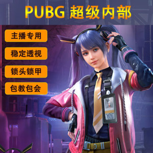 绝地求生内部透视/steam吃鸡端游pubg分屏雷达科技主播陪玩自瞄