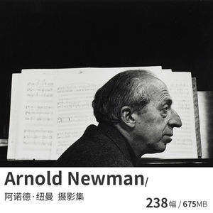 Arnold Newman阿诺德纽曼 环境肖像黑白摄影大师高清图片素材资料