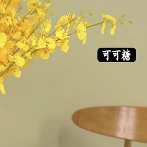 内墙可可糖色家装乳胶漆竹炭环保净味面漆室内背景墙卧室自刷网红