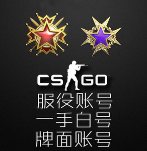 csgo勋章牌面账号白号正规账号黑号服役国服国际服优先库存号b55e