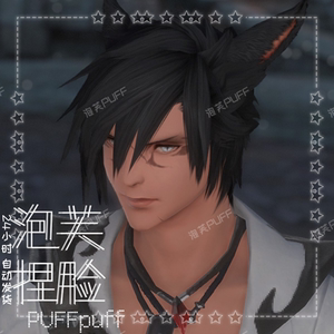 ff14捏脸猫男
