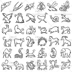 动物手绘线稿 蛇龟鳄鱼马牛羊狮虎象 简笔画图标绘画设计素材6133