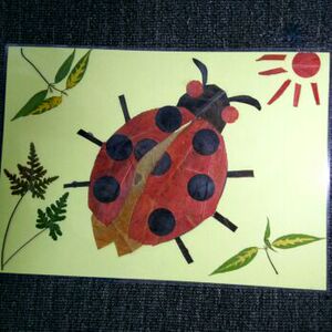 叶未央手工坊植物标本a4叶贴画七星瓢虫学生幼儿diy作业材料作品