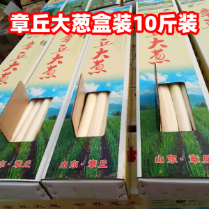 正宗章丘大葱蘸酱葱礼品葱自产自销10斤礼盒装捆装葱