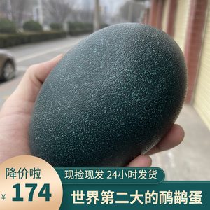 农家自产超大新鲜养殖澳洲鸸鹋蛋食用鸵鸟蛋墨绿色春节送礼包邮