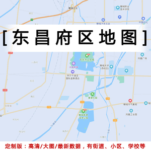 东昌府区地图贴图2021办公室挂图装饰画定制山东聊城市行政城区图