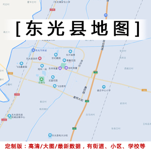 2022年新版东光县地图河北省沧州市交通办公定制城区地图政区地图