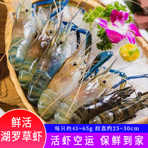 太湖一号草虾罗氏虾沼虾泰国大头虾鲜活淡水超大草虾净重顺丰包邮