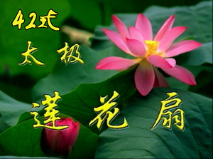 洪钜江 丁秀玲42式太极莲花扇四十二式莲花太极扇视频教程u盘dvd