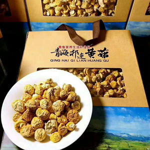 青海祁连山野生黄蘑菇250g小皇菇钉子菇煲汤香菇蘑菇菌
