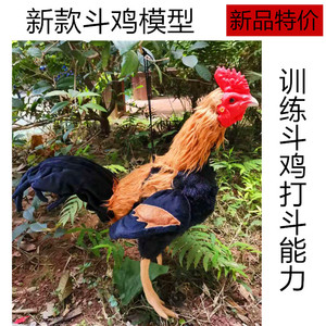 假斗鸡 斗鸡模型 斗鸡训练用品 仿真斗鸡 斗鸡 橡胶鸡 斗鸡 训