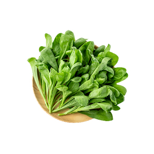 上膳源 有机蔬菜大叶茼蒿新鲜嫩口现摘直发新300g满99元顺丰包邮