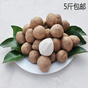 2017单县罗汉参 地栗子崇明香芋子海门细皮香芋3厘米左右五斤包邮