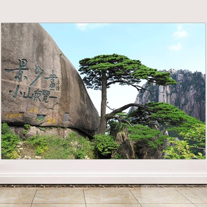 黄山墙画壁画挂画镇宅旺业有山有树无水画镇宅财源滚滚青山靠山图