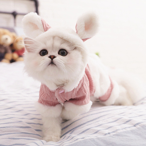 猫咪衣服冬季猫猫布偶保暖防掉毛冬装英短幼猫小猫宠物猫四脚可爱