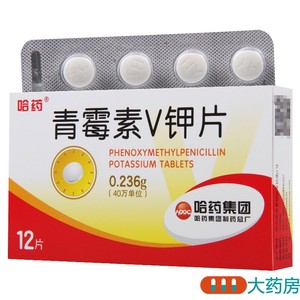 哈药青霉素