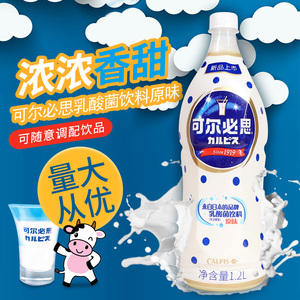 日本可尔必思浓缩液乳酸菌饮料益菌多1.2L奶茶店日式料理商用水语